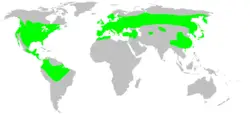 Distribution.caudata.1.png